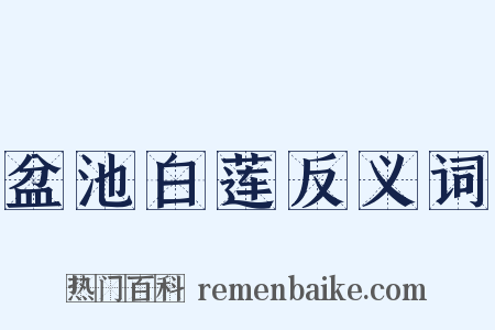 盆池白莲反义词是什么意思的图片